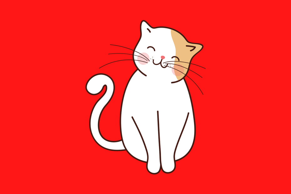 pasty odkłaczające